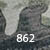 Moss Camo (862)